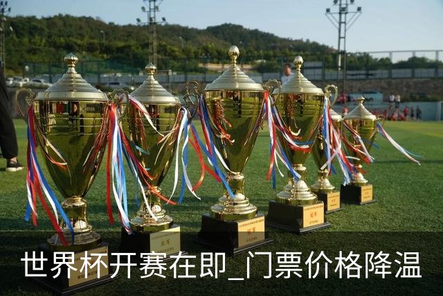 世界杯开赛在即 门票价格降温